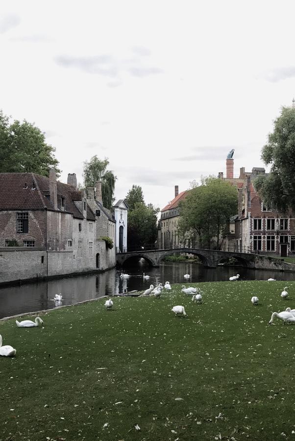 Odevaere - Charming & Luxurious With Terrace Brugge